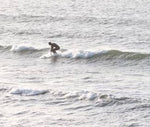 Anmälan surftävling lördag 250531
