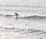 Anmälan surftävling lördag 250531